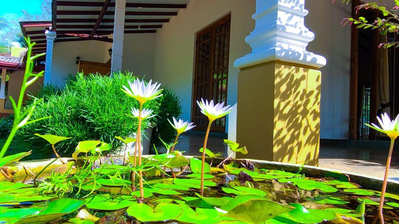 Greenville Resort And Spa Dambulla Kültér fotó